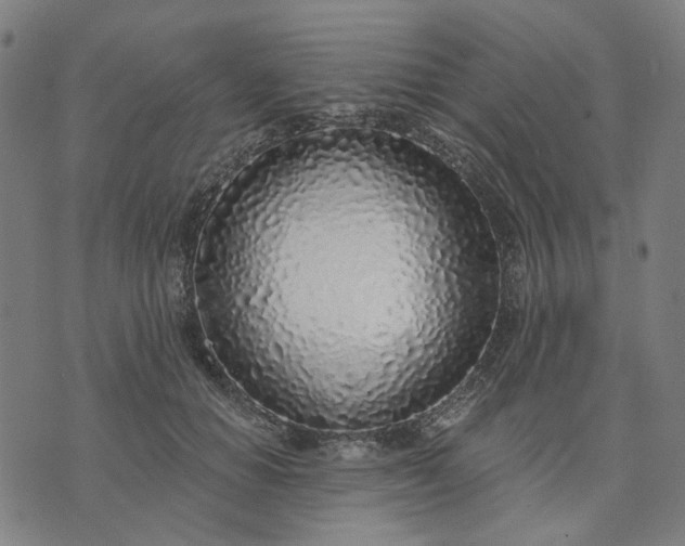 X0000074260654200609081737