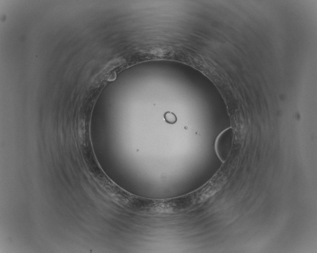 X0000074260656200609081737