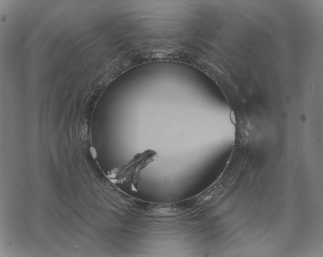 X0000074260657200609081737