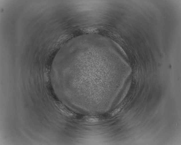 X0000074260658200609081737