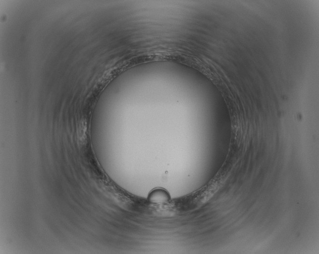 X0000074260660200609081737