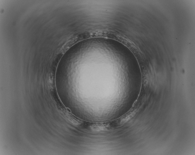 X0000074260661200609081737