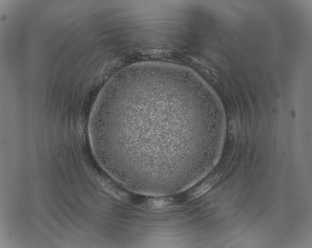 X0000074260662200609081737