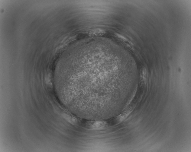 X0000074260663200609081737