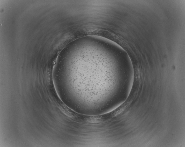 X0000074260664200609081737