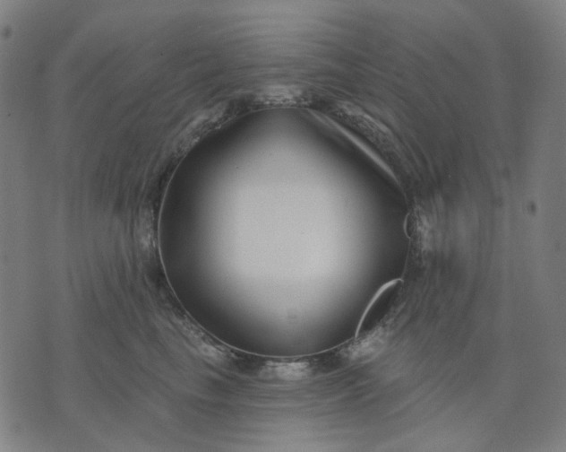 X0000074260665200609081737