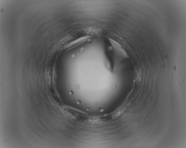 X0000074260666200609081737