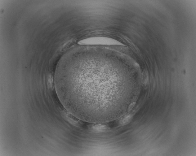 X0000074260669200609081738