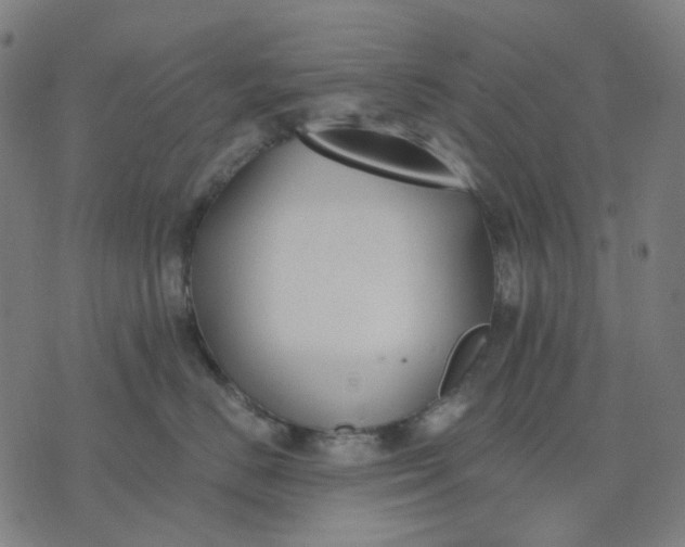 X0000074260670200609081738