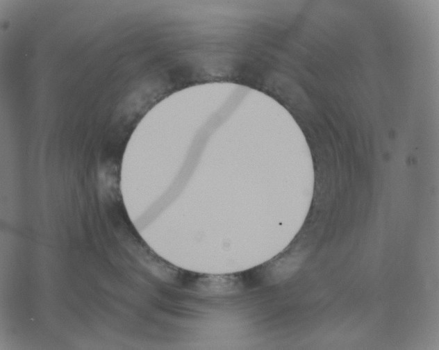 X0000074260672200609081738