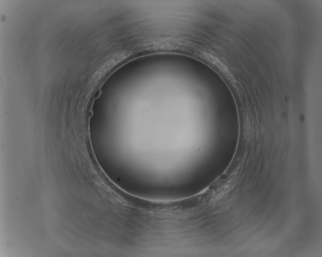 X0000074260673200609081737