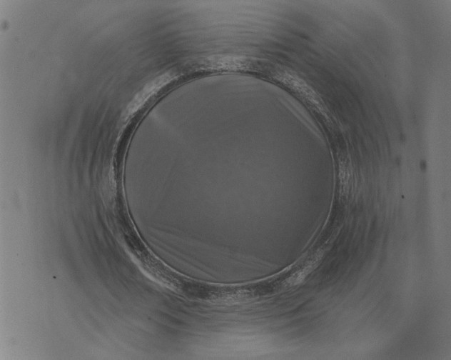 X0000074260674200609081737