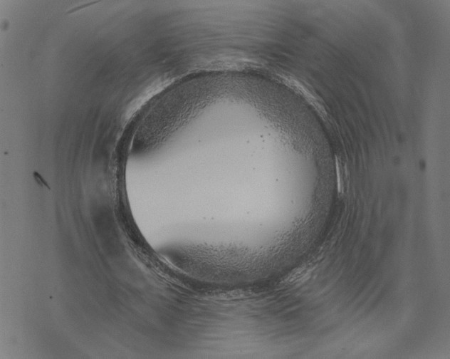 X0000074260675200609081737