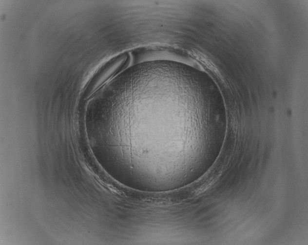 X0000074260676200609081737