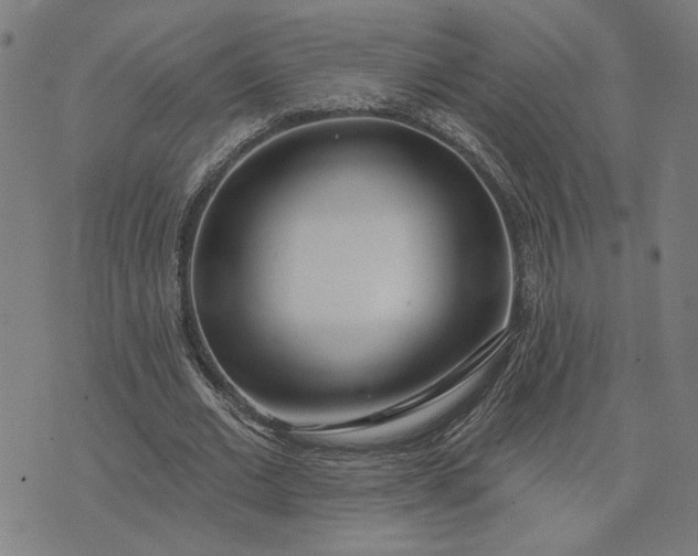 X0000074260677200609081737