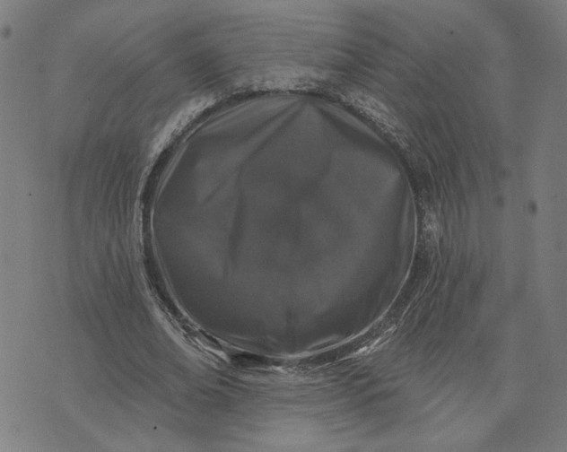 X0000074260678200609081737