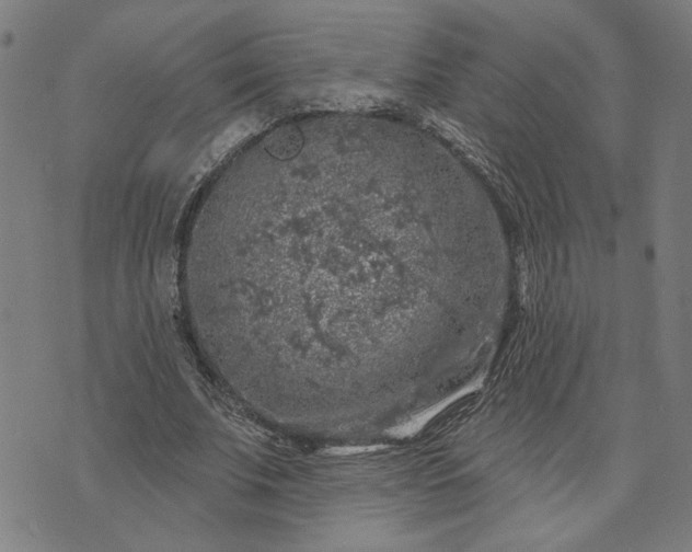 X0000074260679200609081737