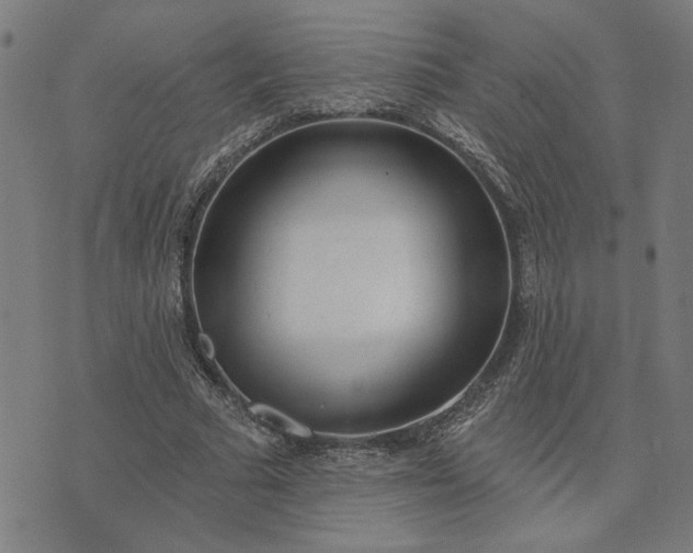 X0000074260681200609081737