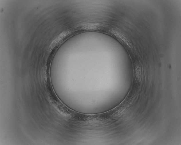 X0000074260682200609081737