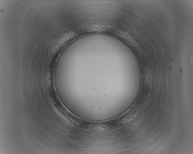 X0000074260683200609081737