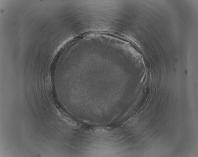 X0000074260684200609081737