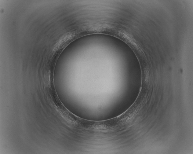 X0000074260685200609081737