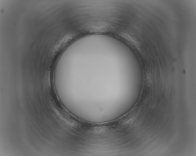 X0000074260686200609081737