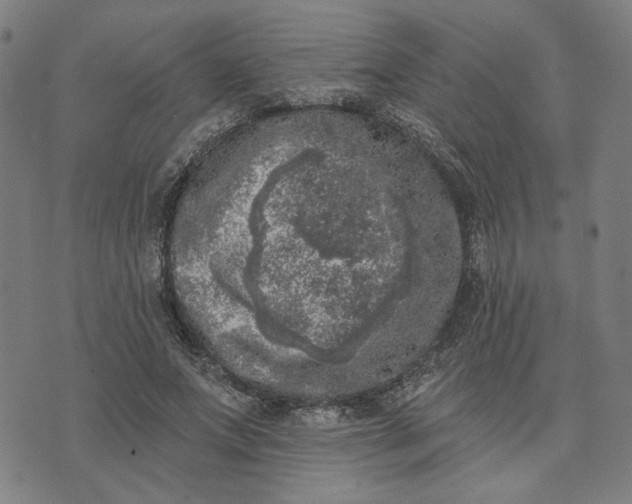 X0000074260687200609081737