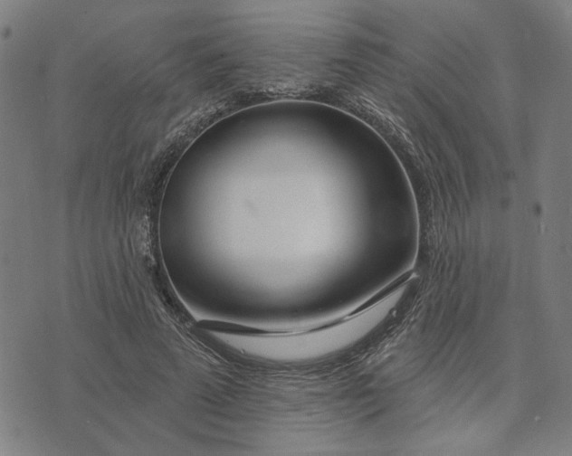 X0000074260689200609081737