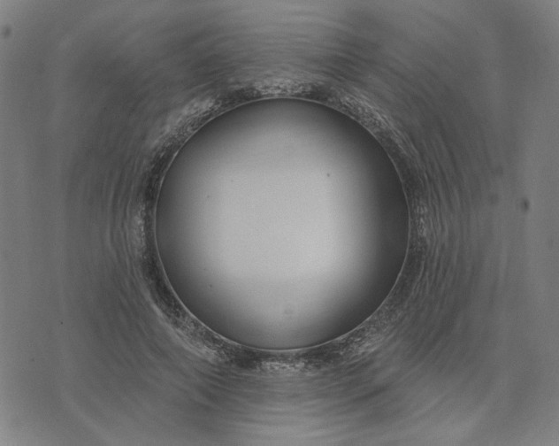 X0000074260690200609081737