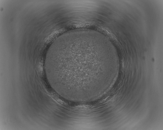 X0000074260691200609081736