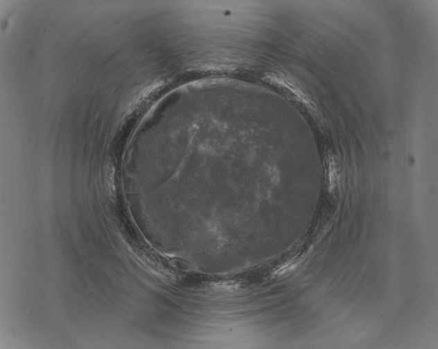 X0000074260692200609081736