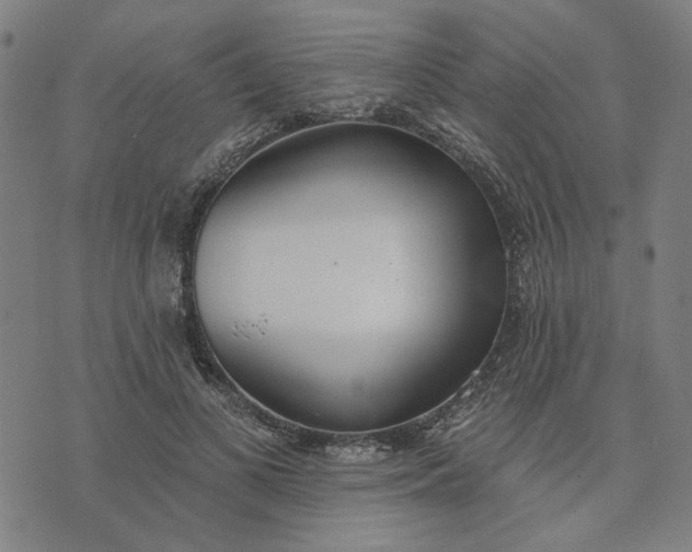 X0000074260693200609081736