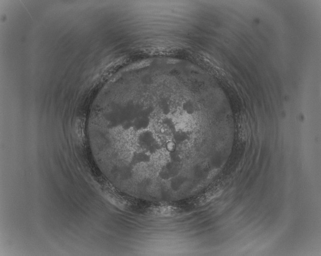 X0000074260695200609081736