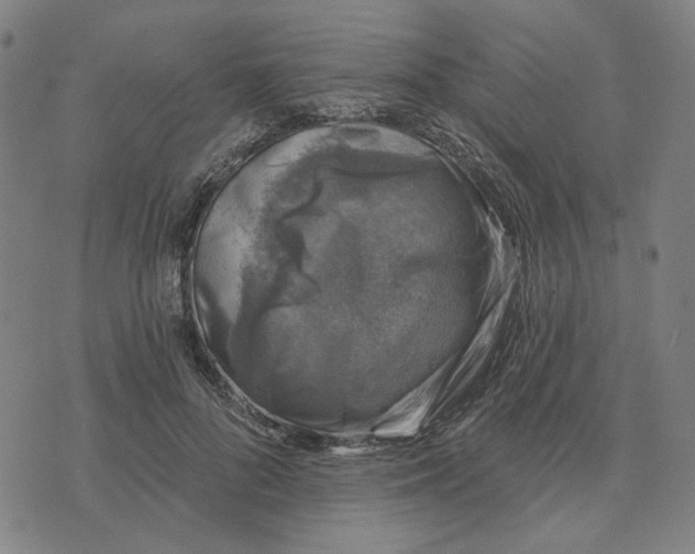 X0000074260696200609081736