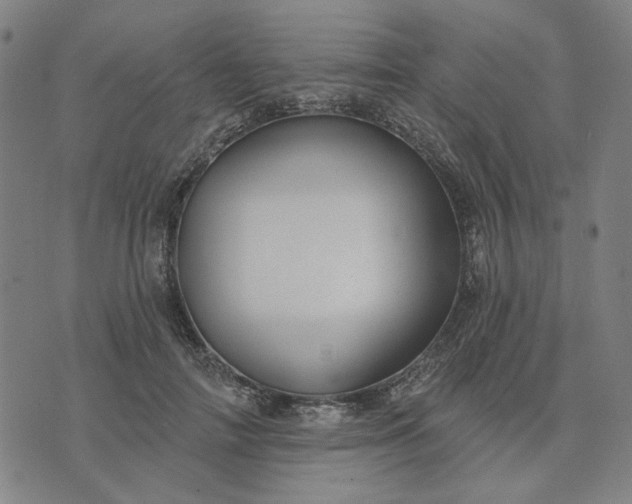 X0000074260698200609081736