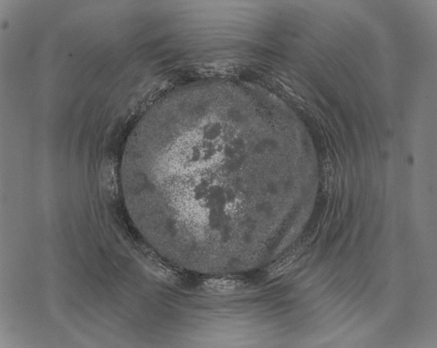 X0000074260699200609081736