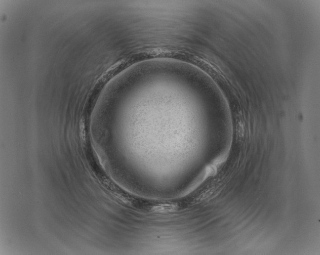 X0000074260700200609081736