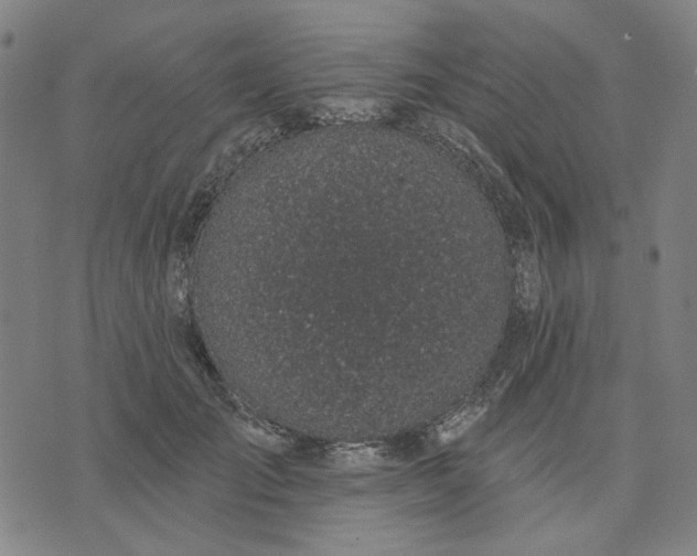 X0000074260701200609081736