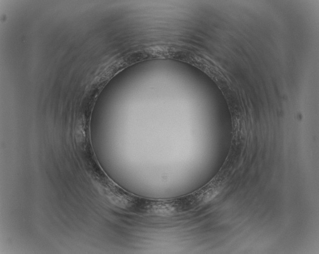 X0000074260702200609081736