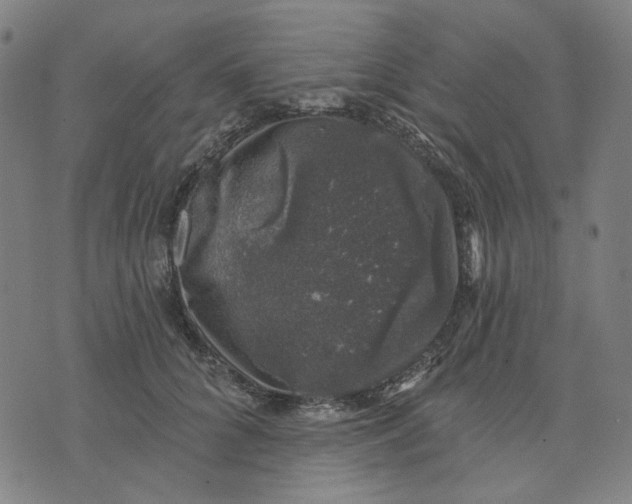 X0000074260704200609081736