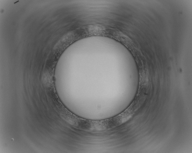 X0000074260705200609081736