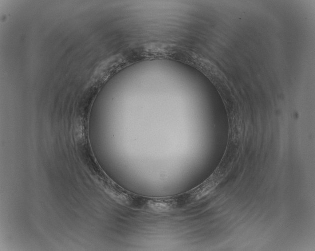 X0000074260706200609081736