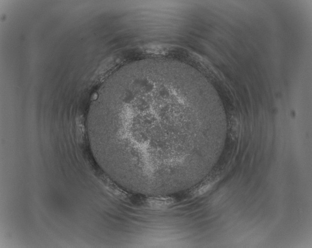 X0000074260707200609081736