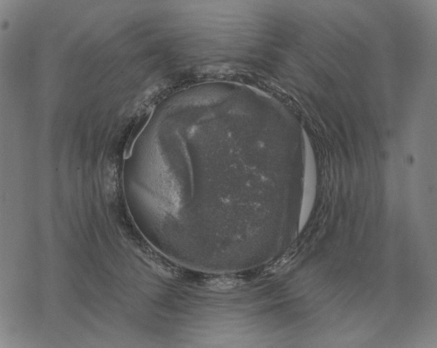 X0000074260708200609081736