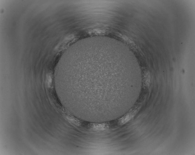 X0000074260709200609081736