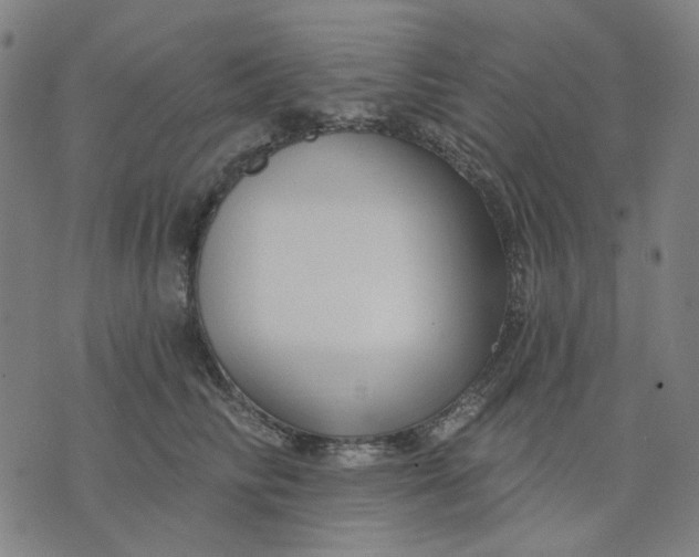 X0000074260710200609081736