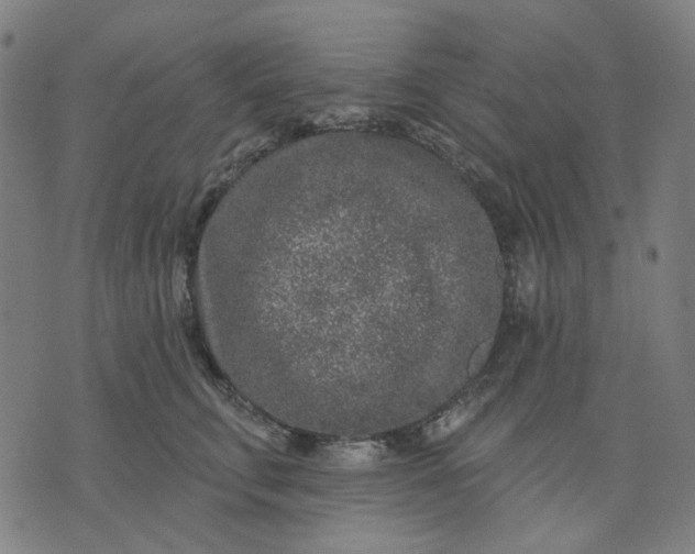 X0000074260711200609081736