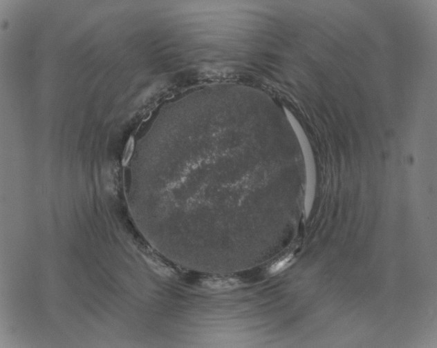 X0000074260712200609081736