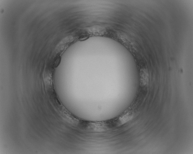 X0000074260713200609081736